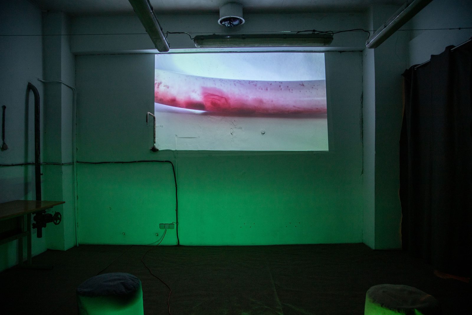 Humans, non-humans, with and without humans