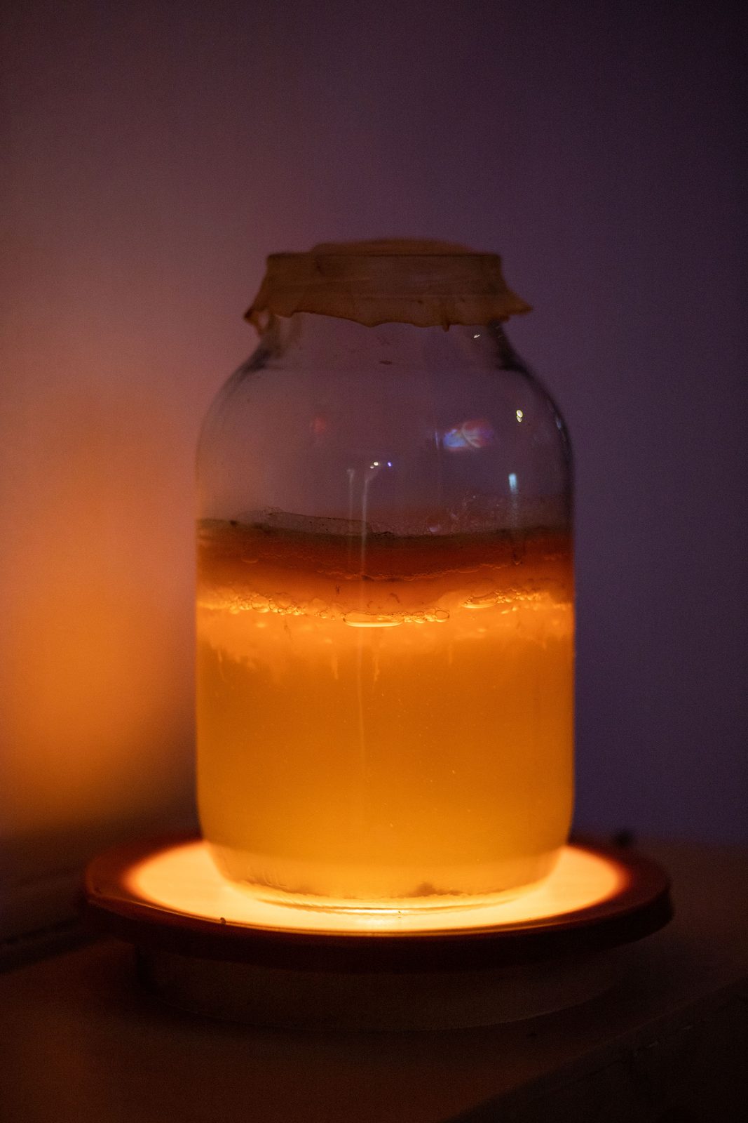 Humans, non-humans, with and without humans