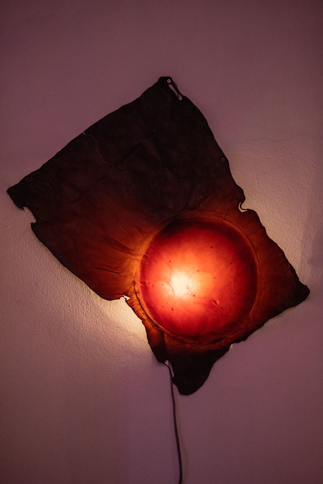 Humans, non-humans, with and without humans